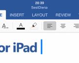 MS Word for iPad