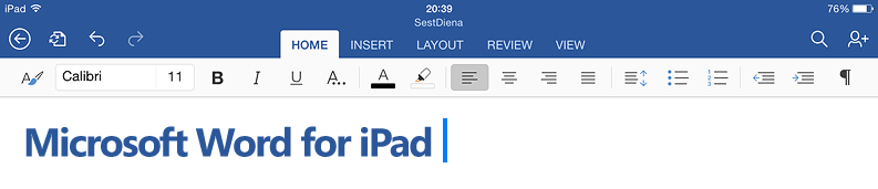 MS Word for iPad